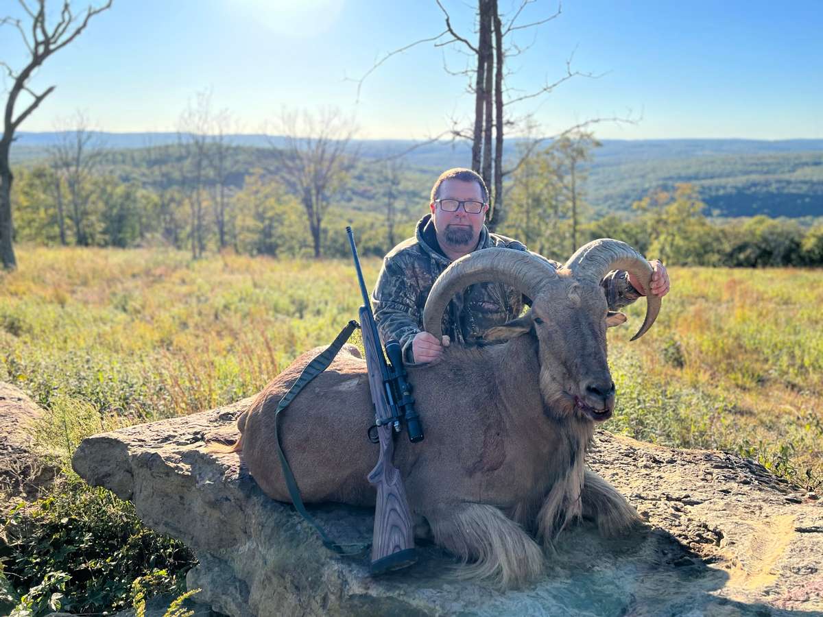 Aoudad Hunting Season