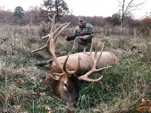 Trophy Elk Hunts